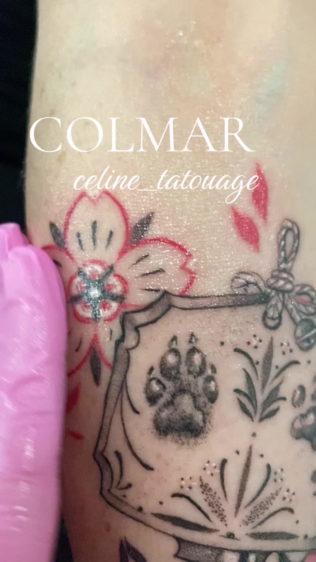 @de_palma