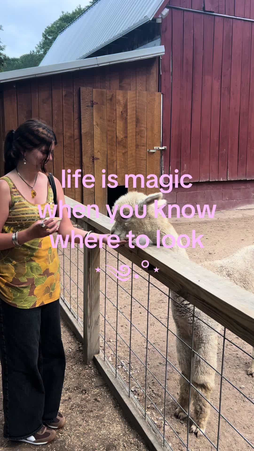 @caitie ꩜