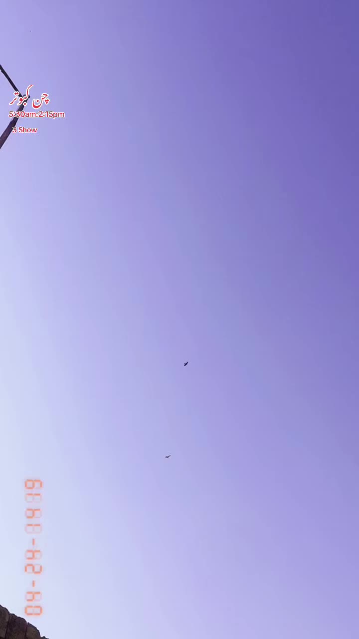 @ʜᴀʀᴏᴏɴ ᴊᴏʏɪᴀ