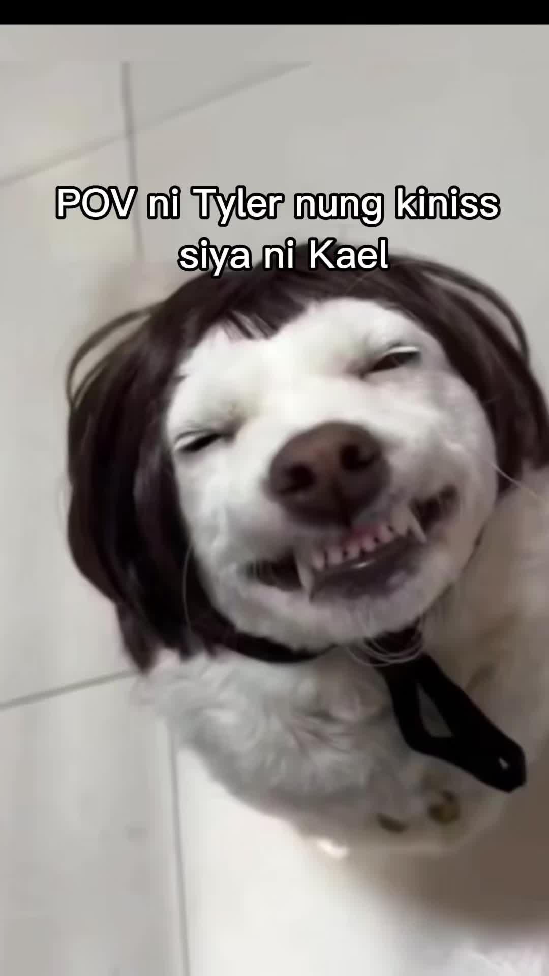 @chiki dog na bigay ni rade