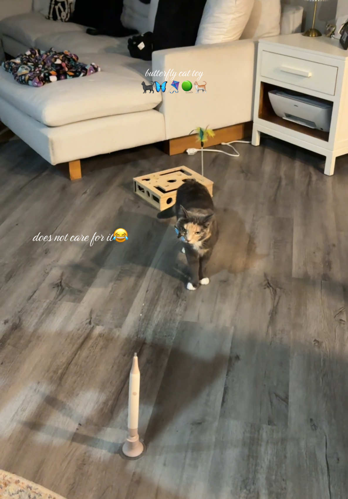 @Melanie🐈⬛