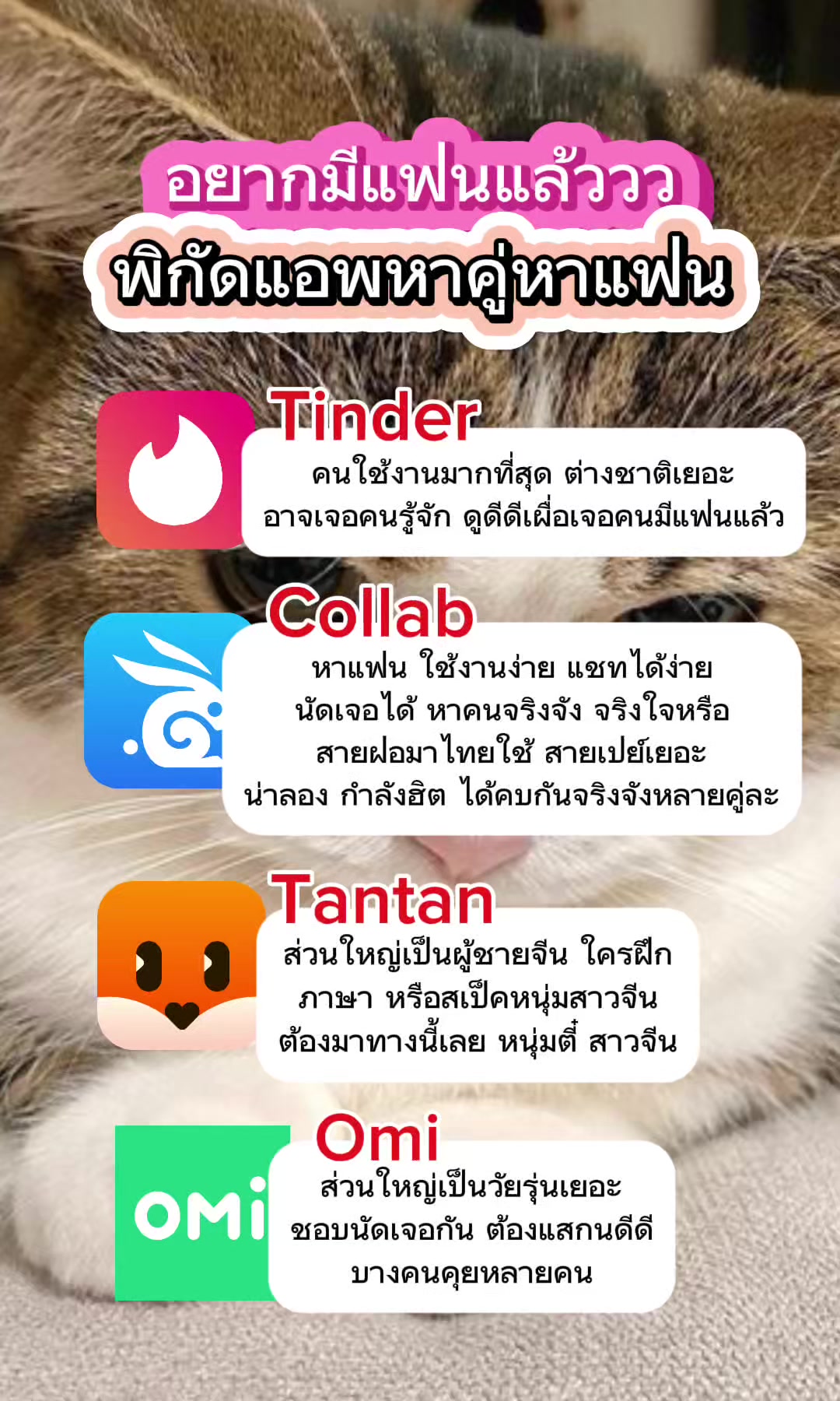 @Collab คนเหงา