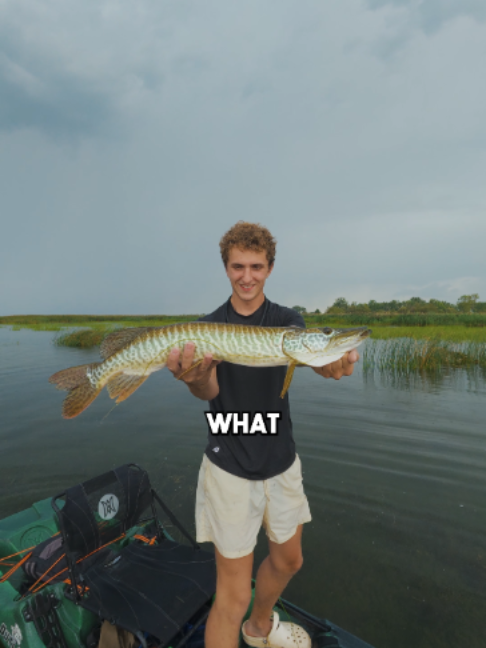 @Stef Fish