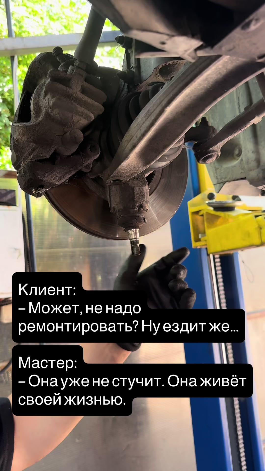 @autopoint_mne