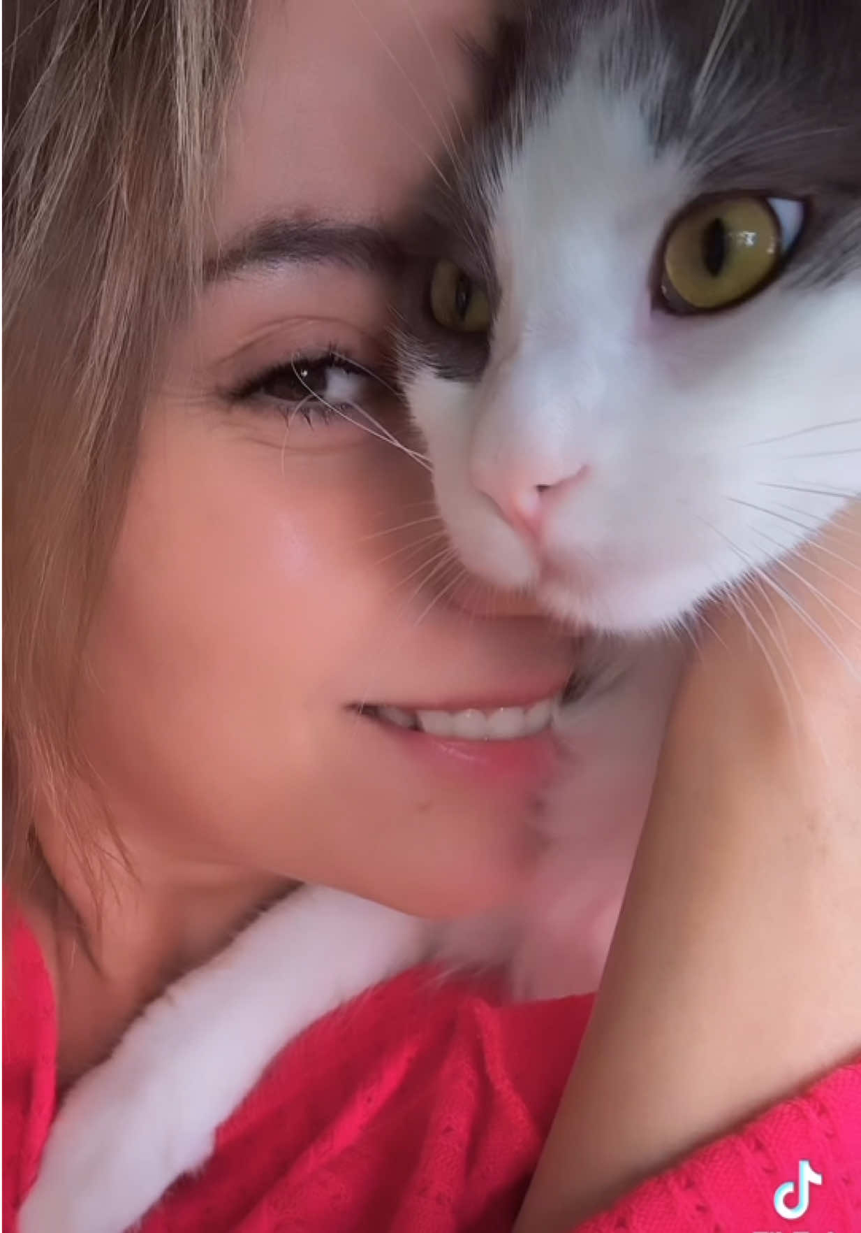 @Linocka
