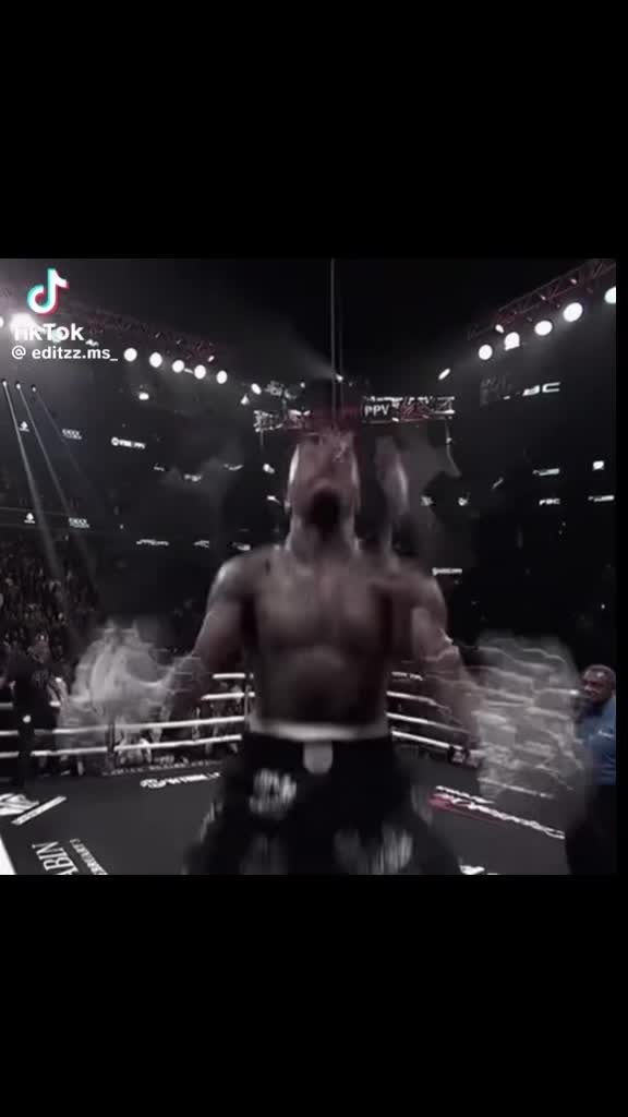 @Boxer fan