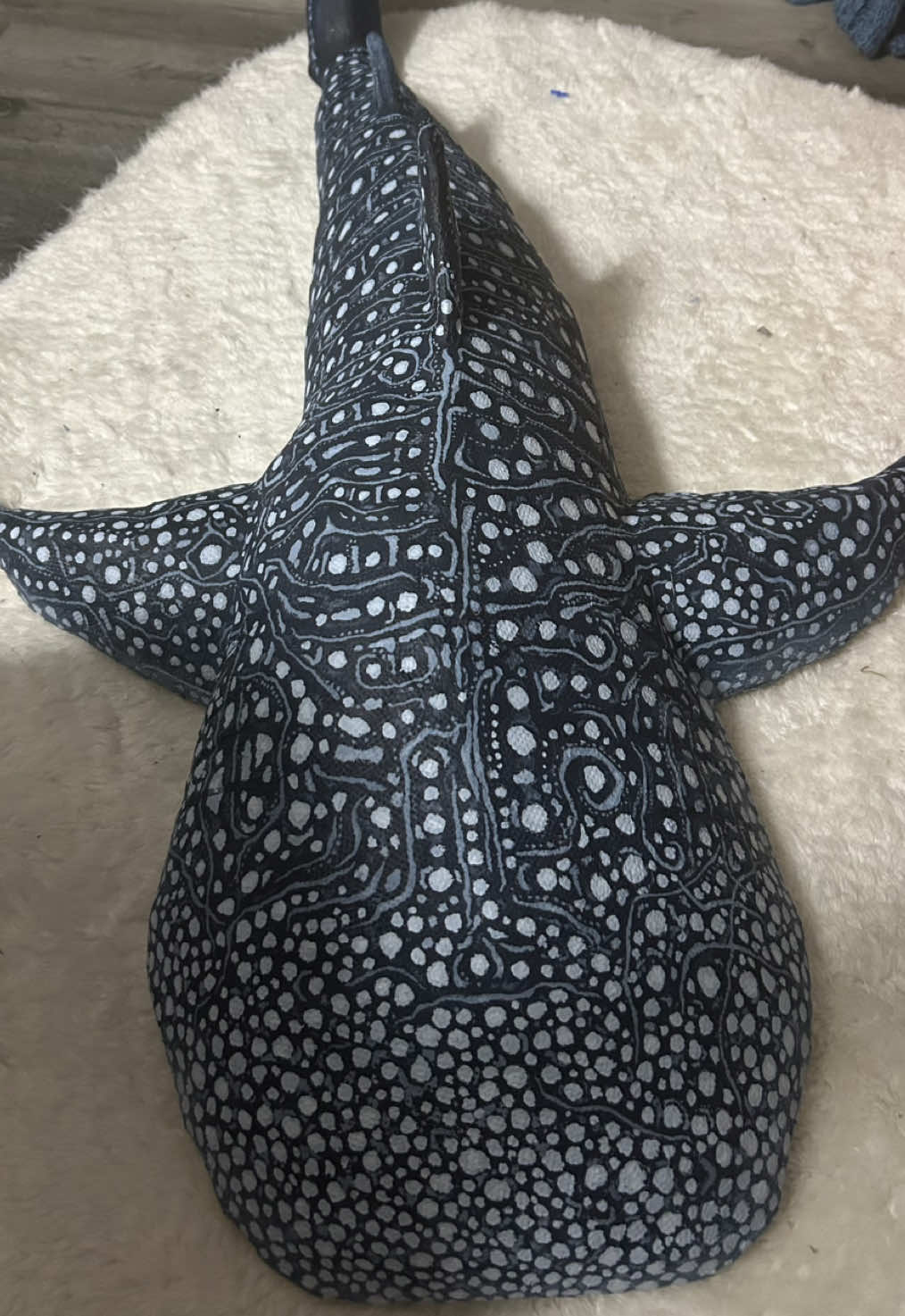 @LunaArts