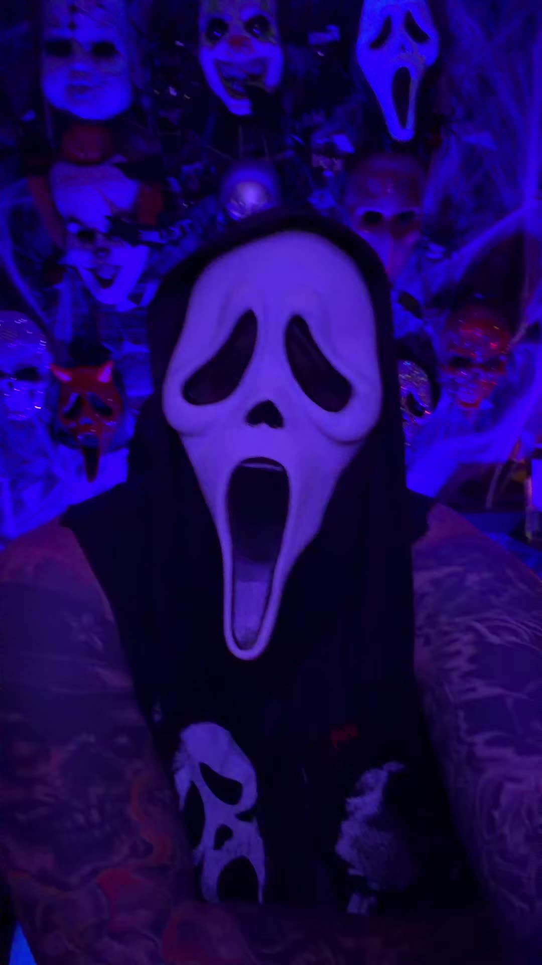 @🕸️Webbie🕸️