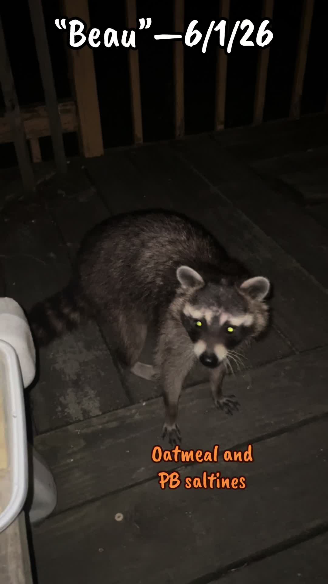 @LoneWolfKritterKam