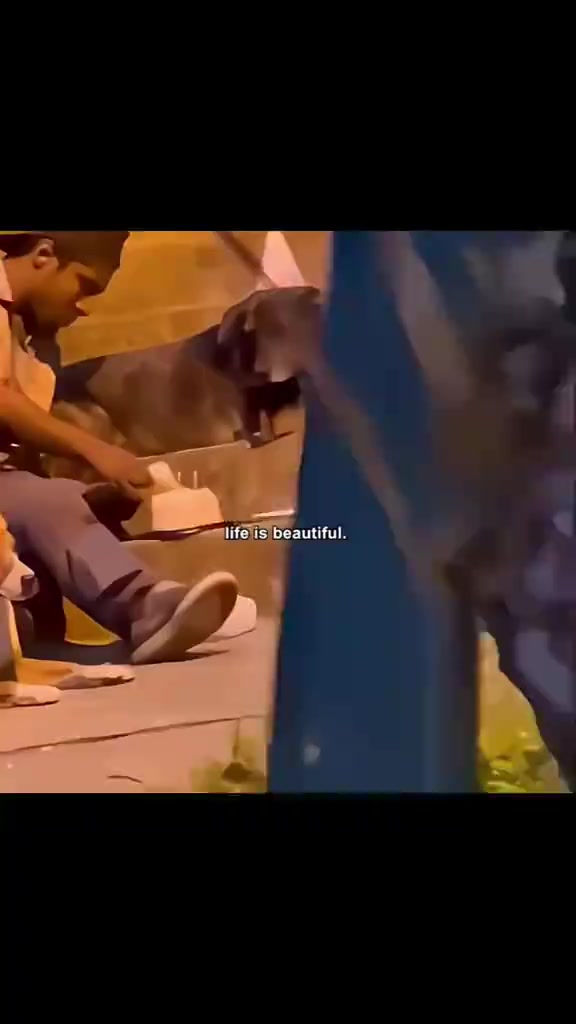 @Куль