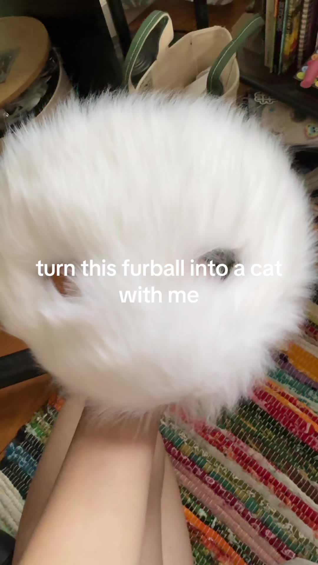 @⊹˚ƙαʂα