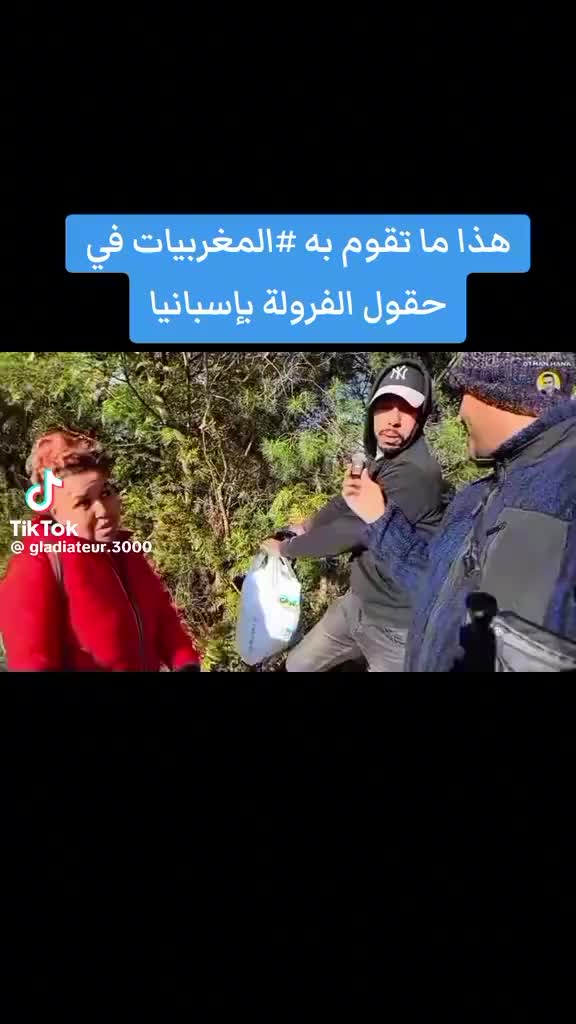 @karim75DZ