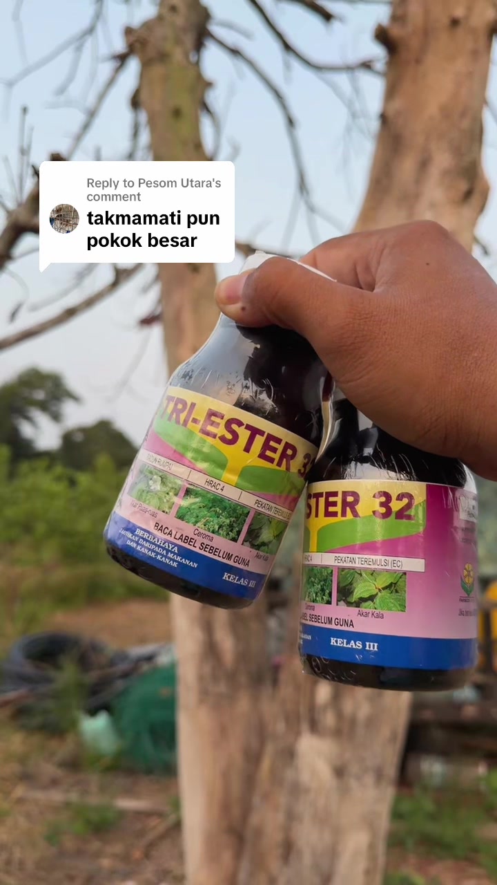 @kebunBD