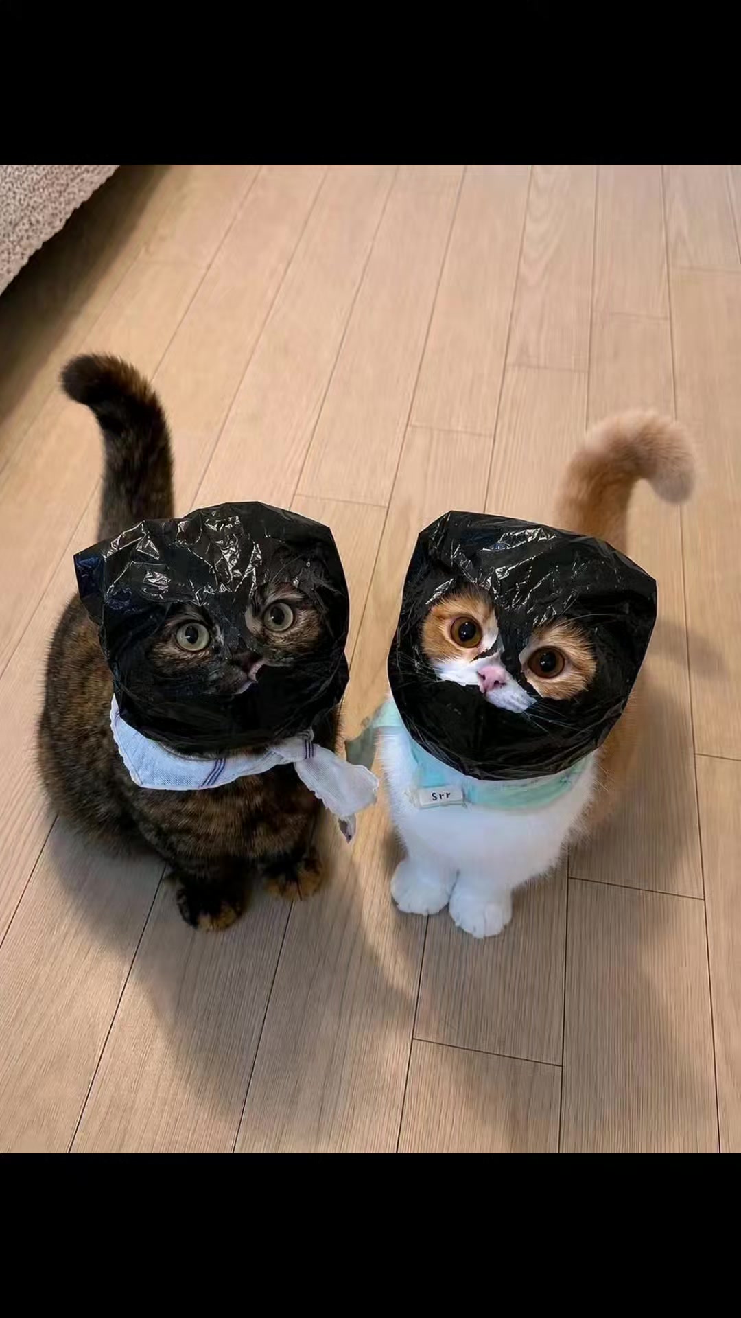 @هذه