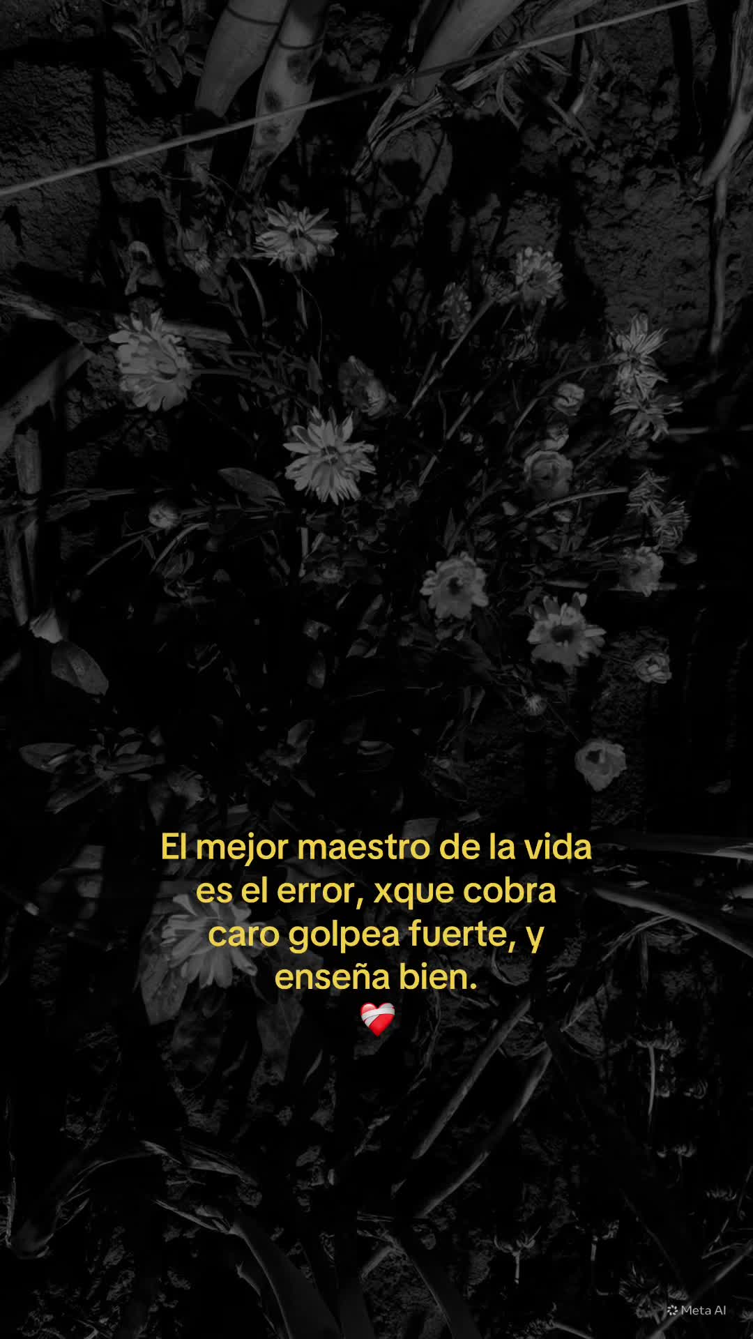 @Mor....A🕯️🕊️🤍