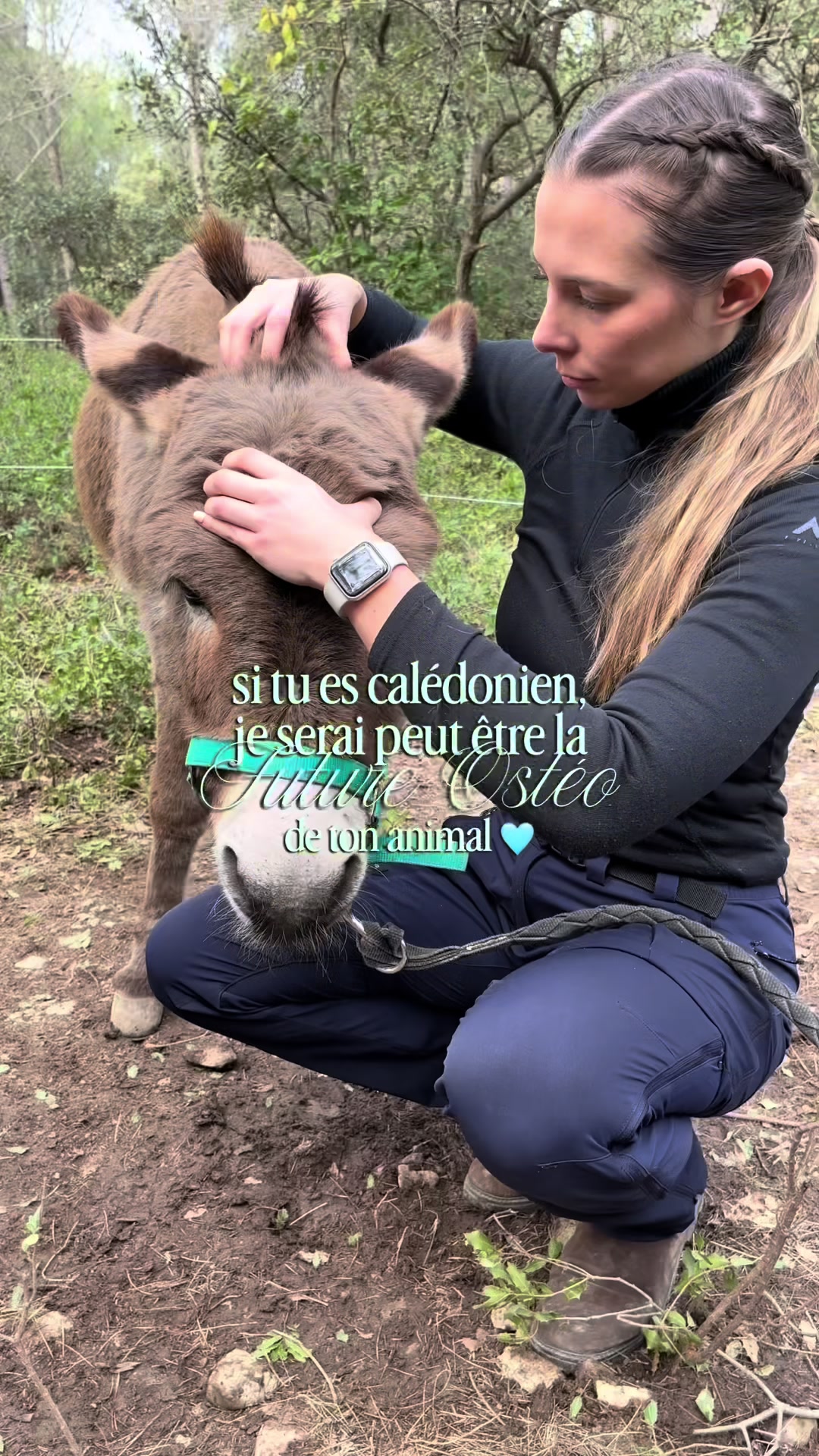 @Animae Ostéo
