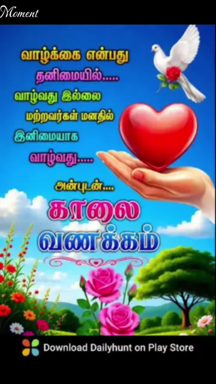 @Sai Meena