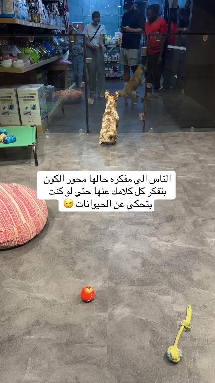 @Noor 🌸