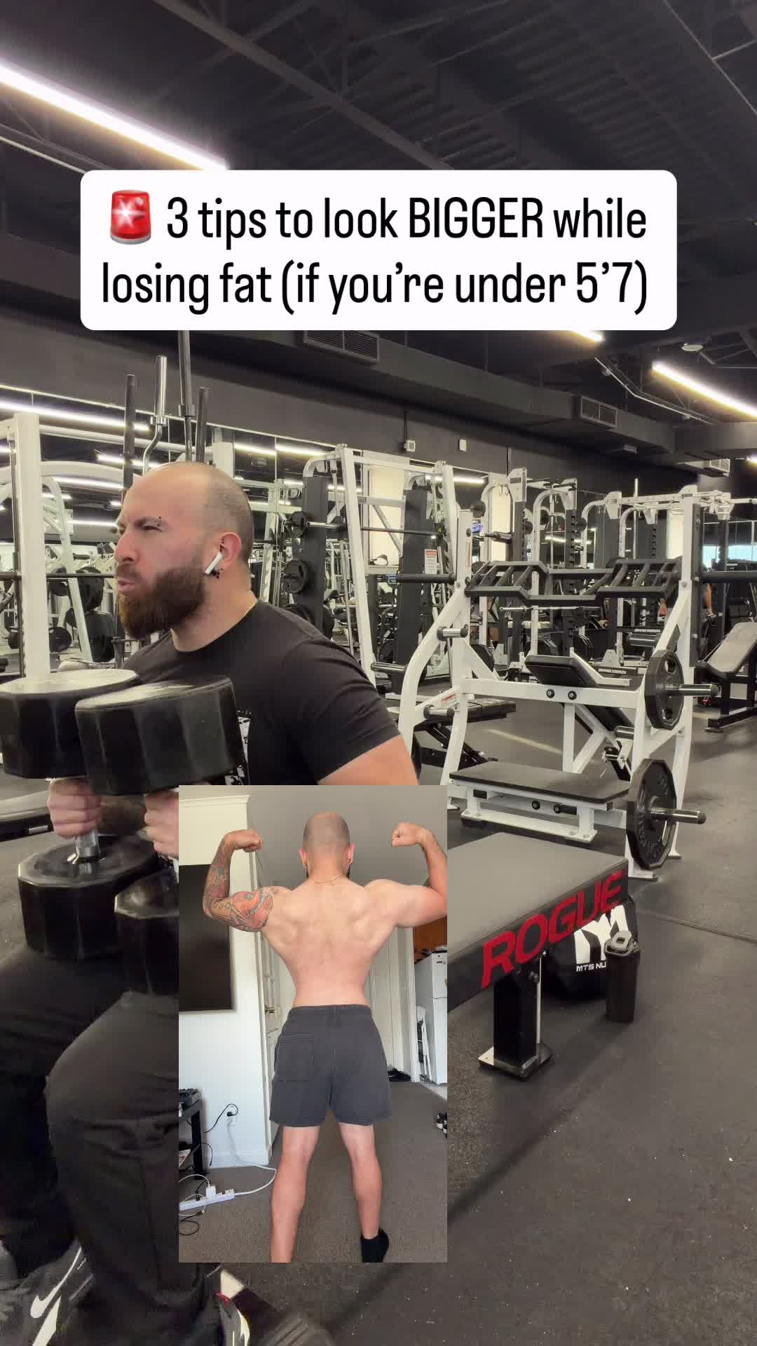 @AwolMuscle