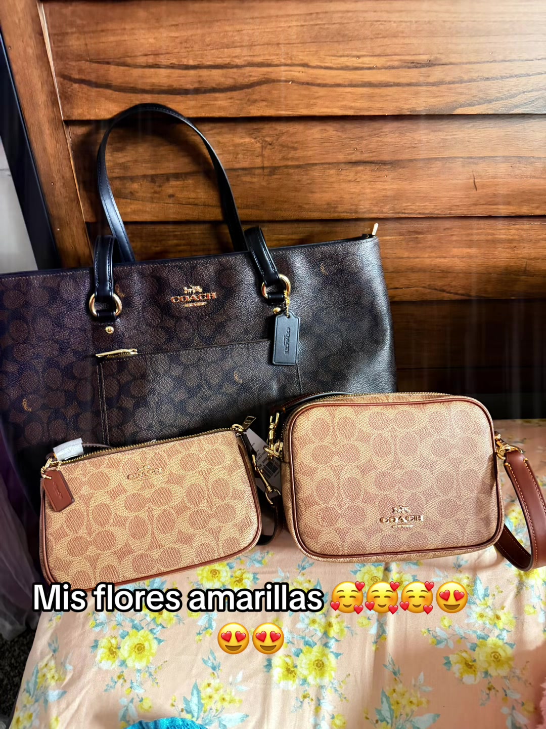 @شيومارا