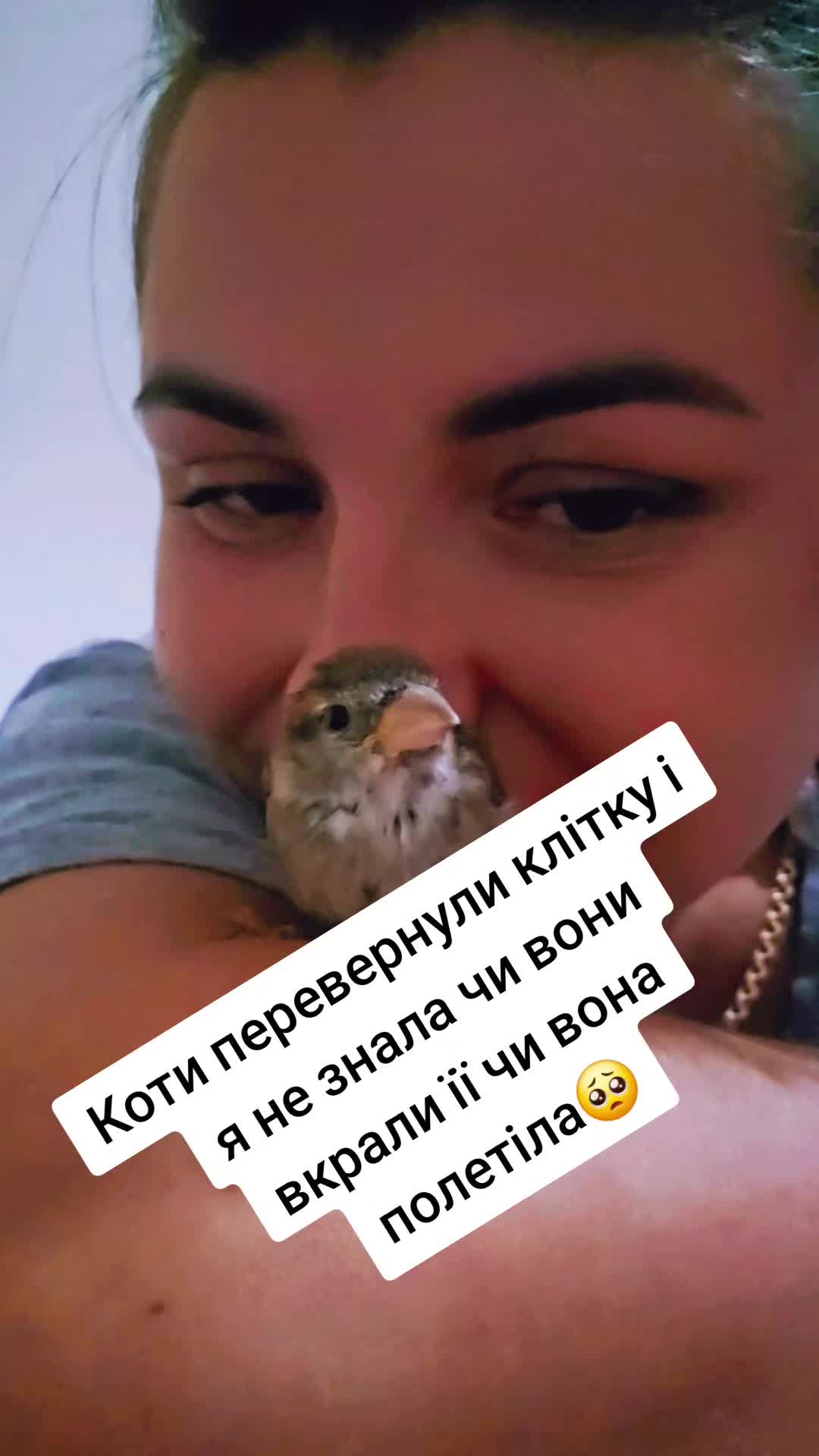 @🇺🇦🇬🇷