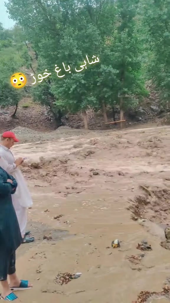 @HASAN 🦅