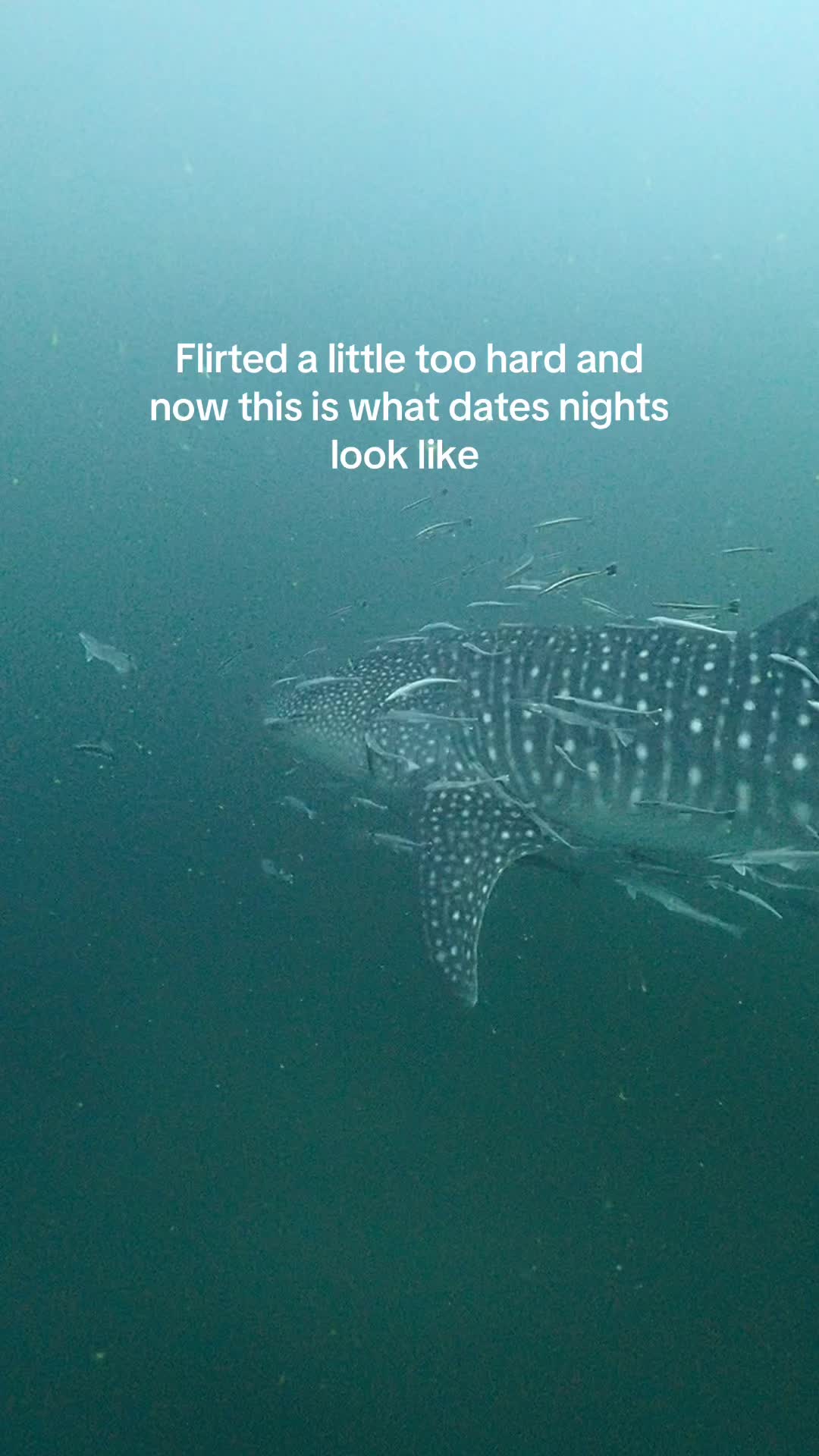@Ashley