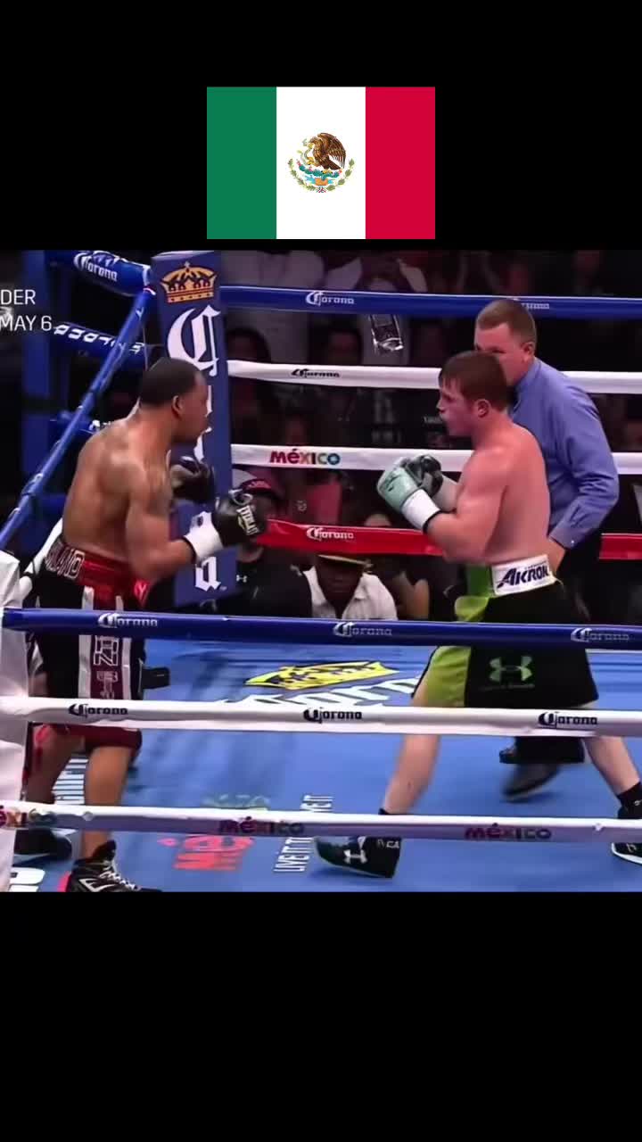 @Boxer fan
