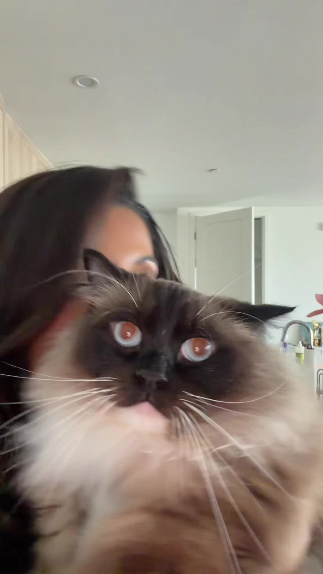 @Ava Amira