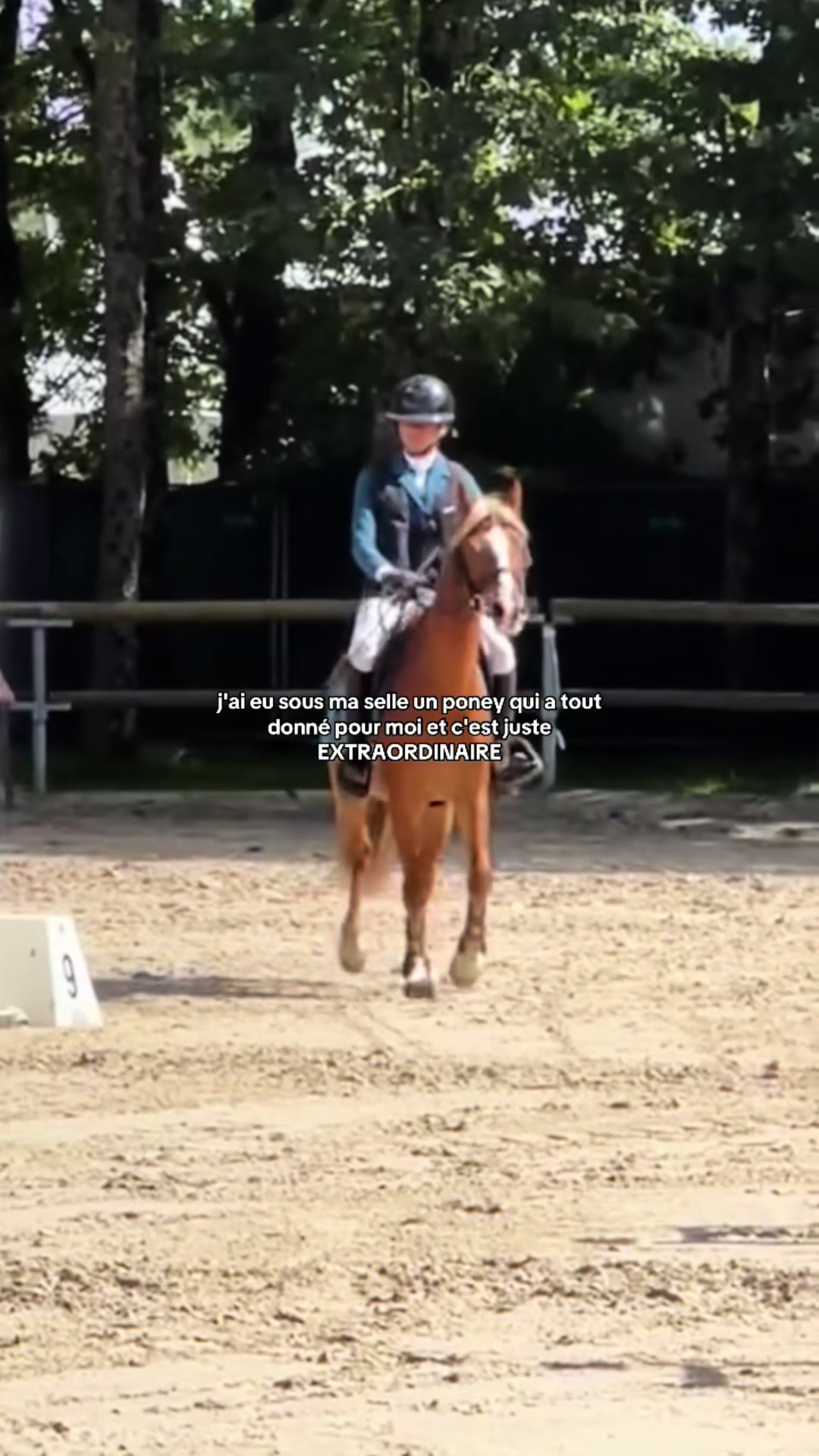 @Le poney qui salut les jurys✨