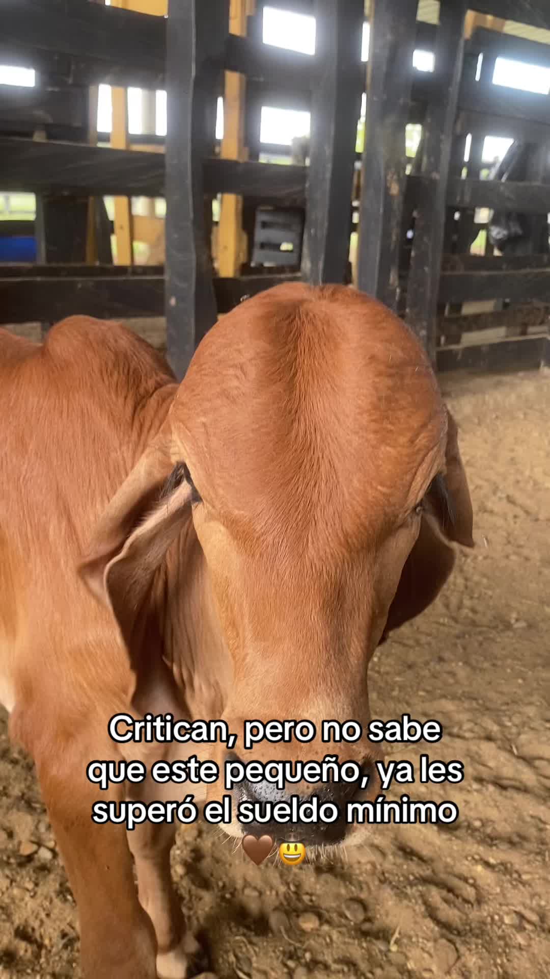 @Castañeda Rubio 🤠❤️