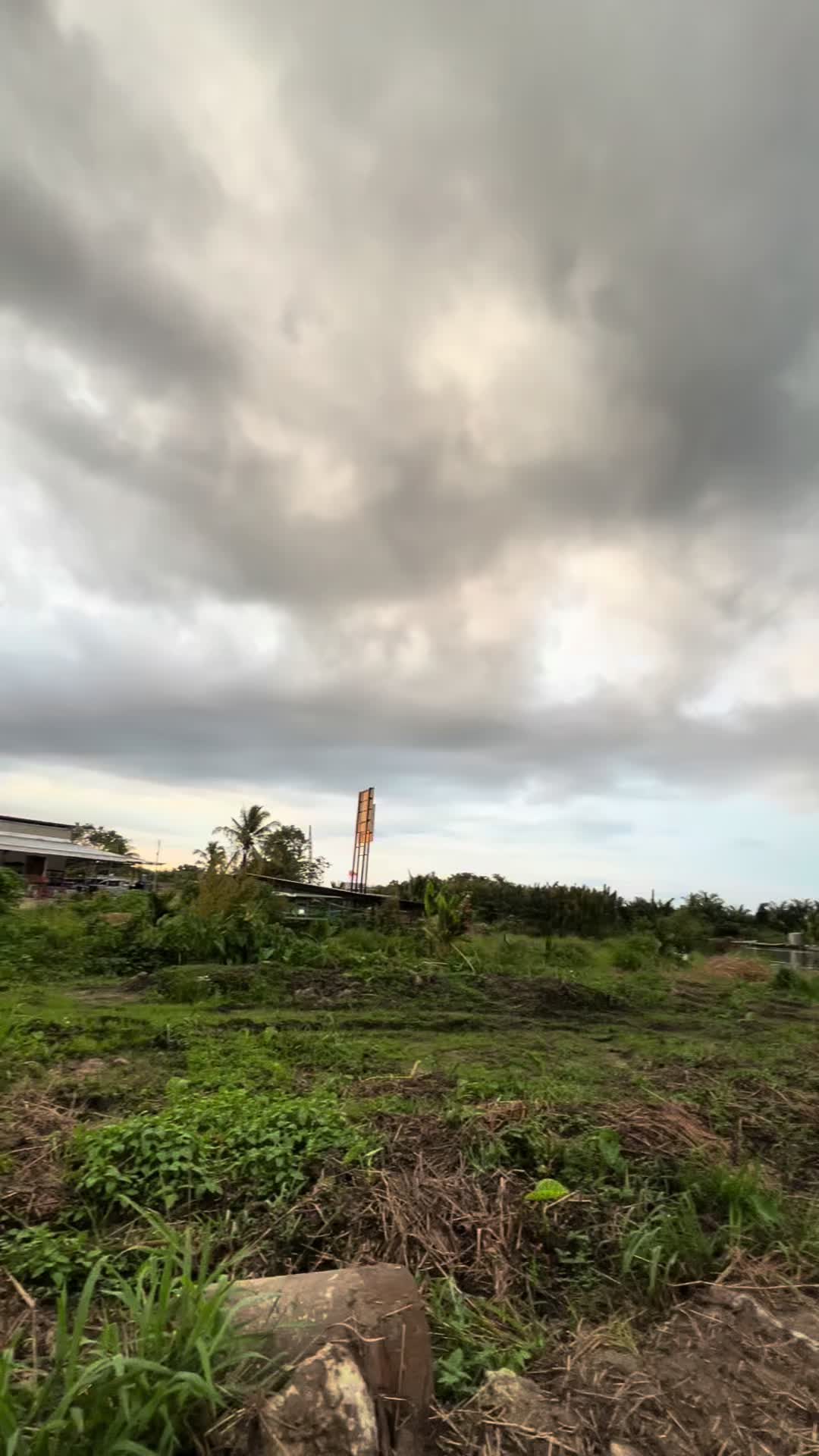 @Flora-17