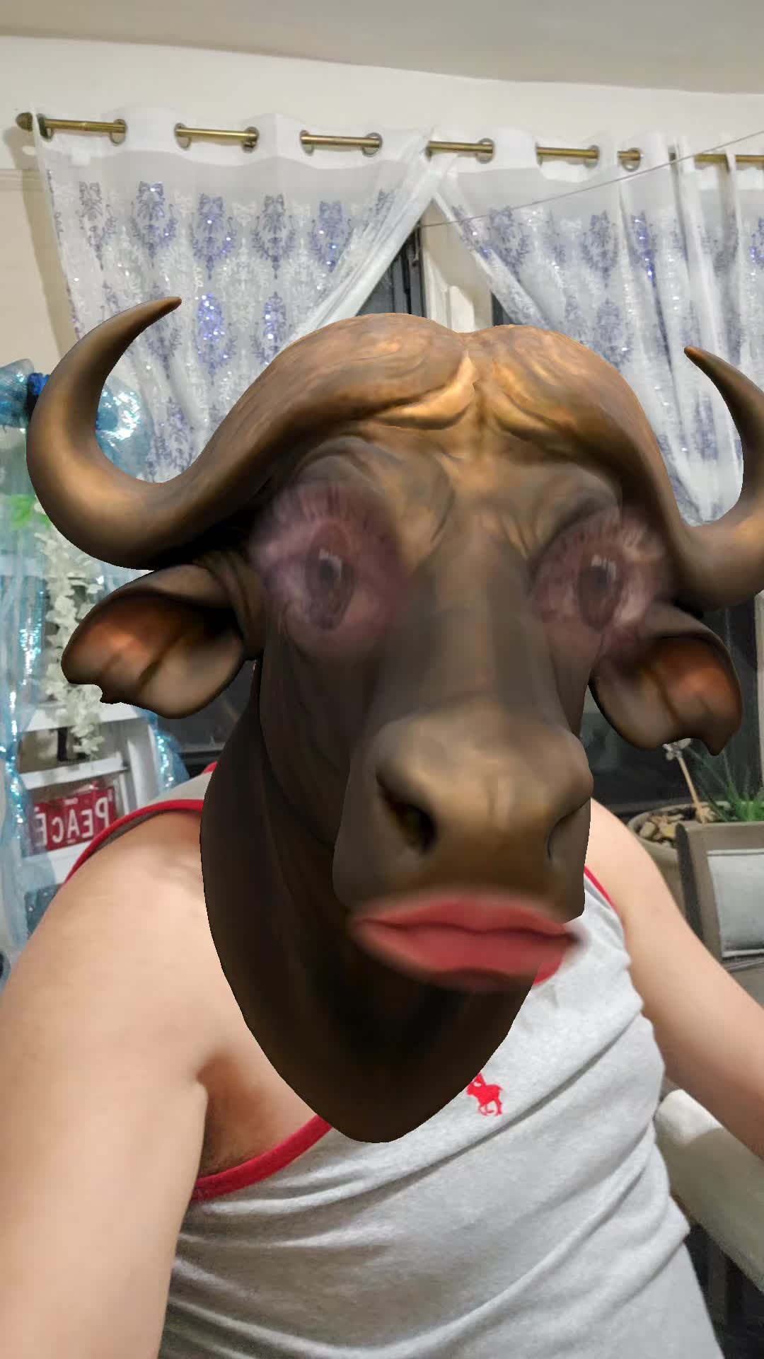 @𝐶𝐻𝐼𝑀𝐴𝐷𝑂𝑅
