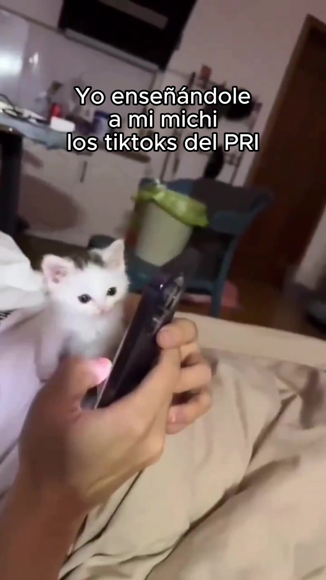 @PRI Nacional