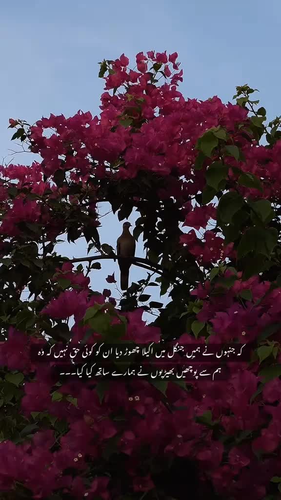 @Sidra khan 🔐