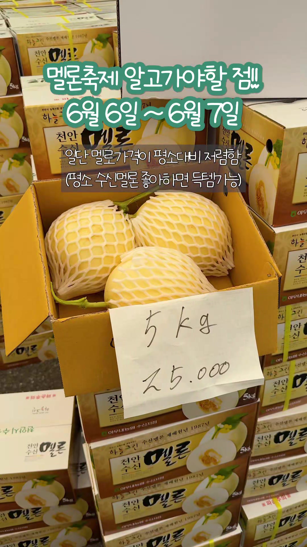 @맛플렉스