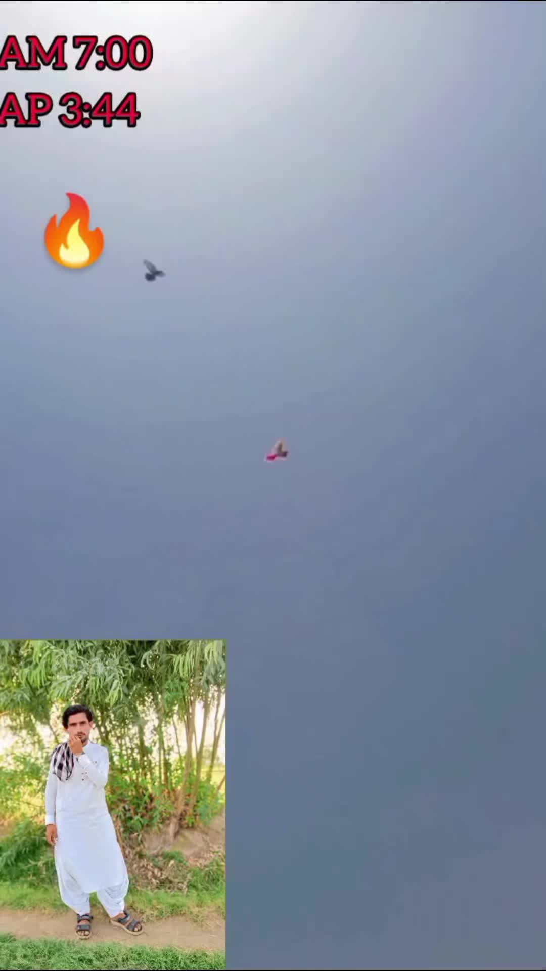@آپنا شوق کبو تر باز ى