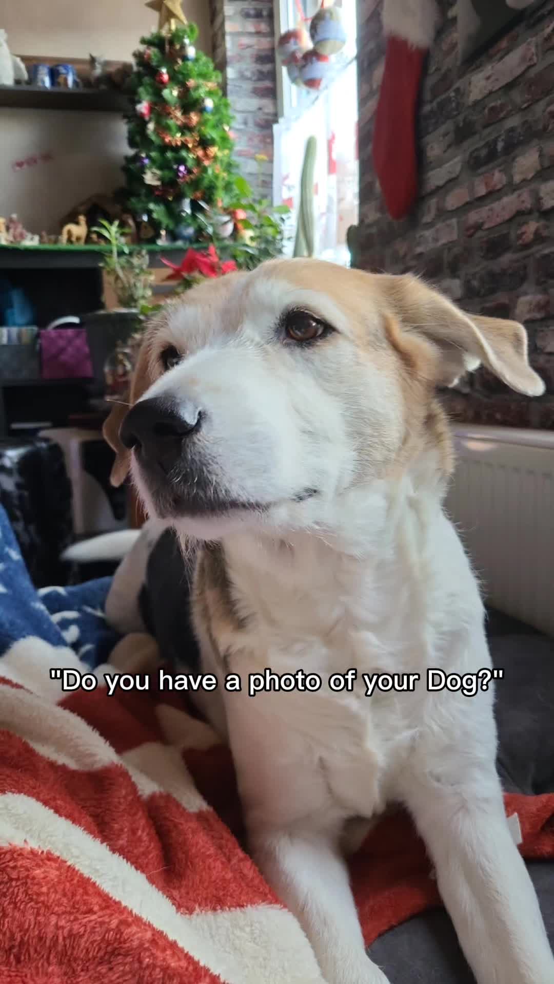 @Coco_Bubu