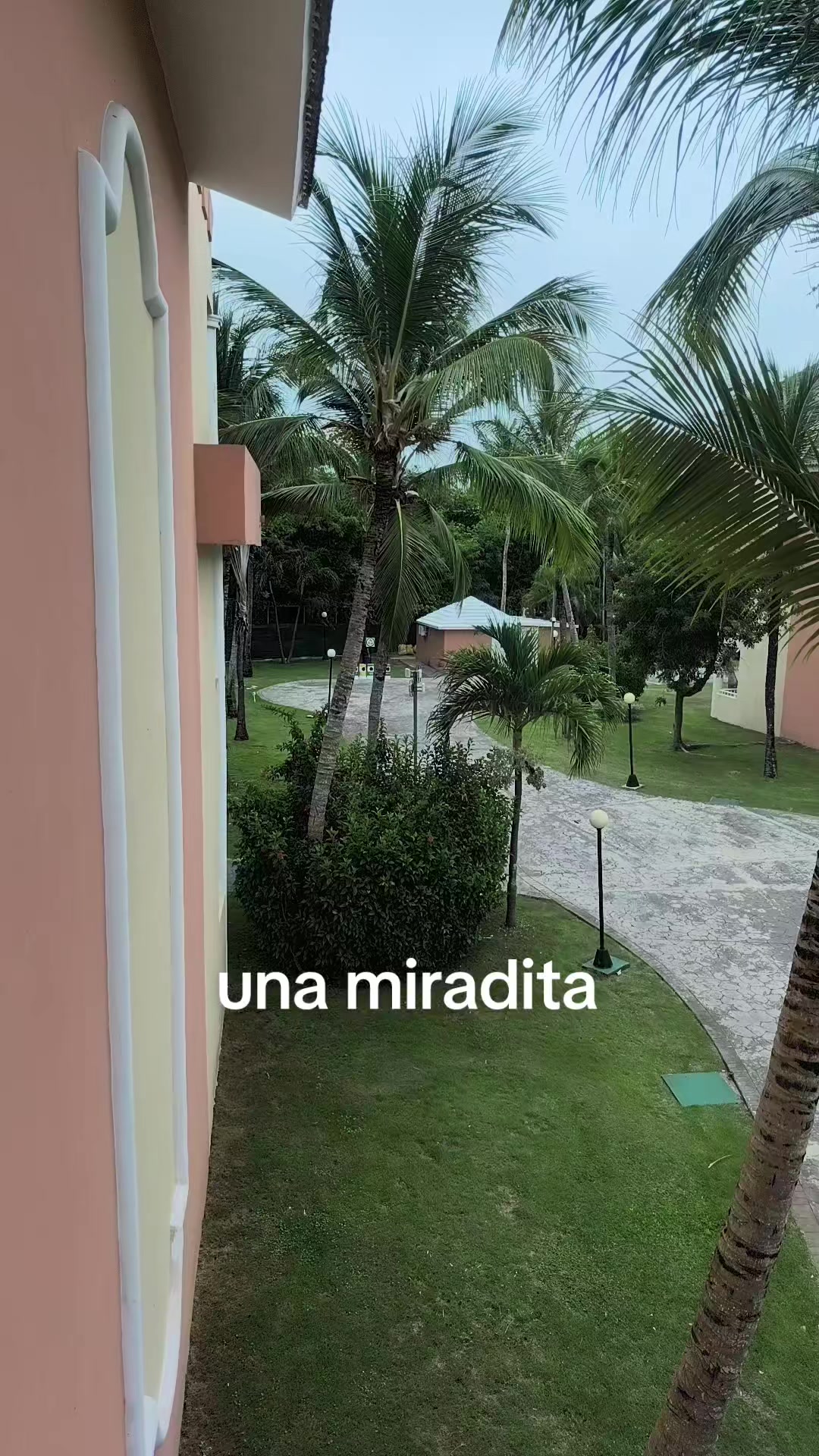 @Sandra Yanet berrios