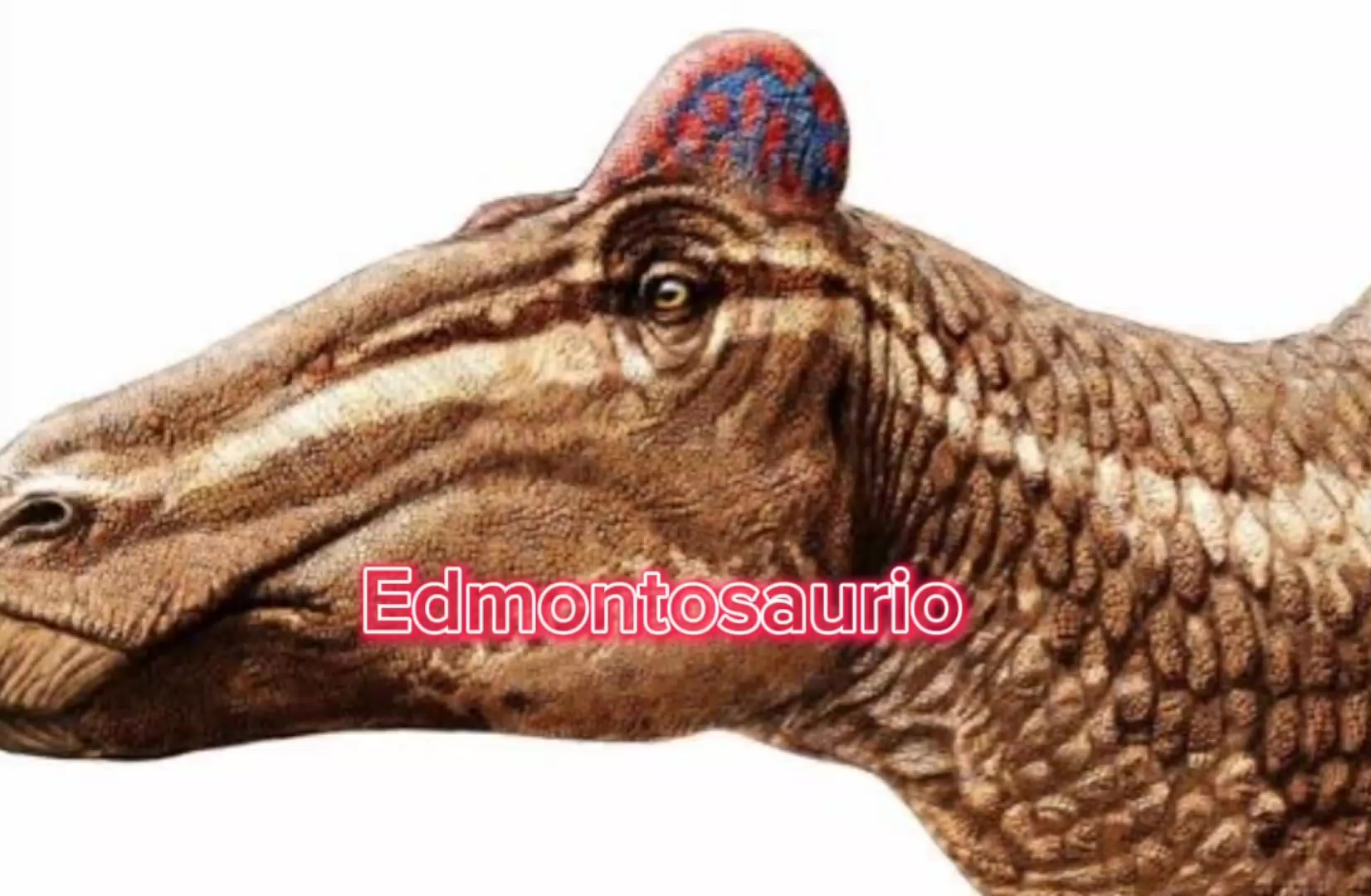 @Matrexdino TEA