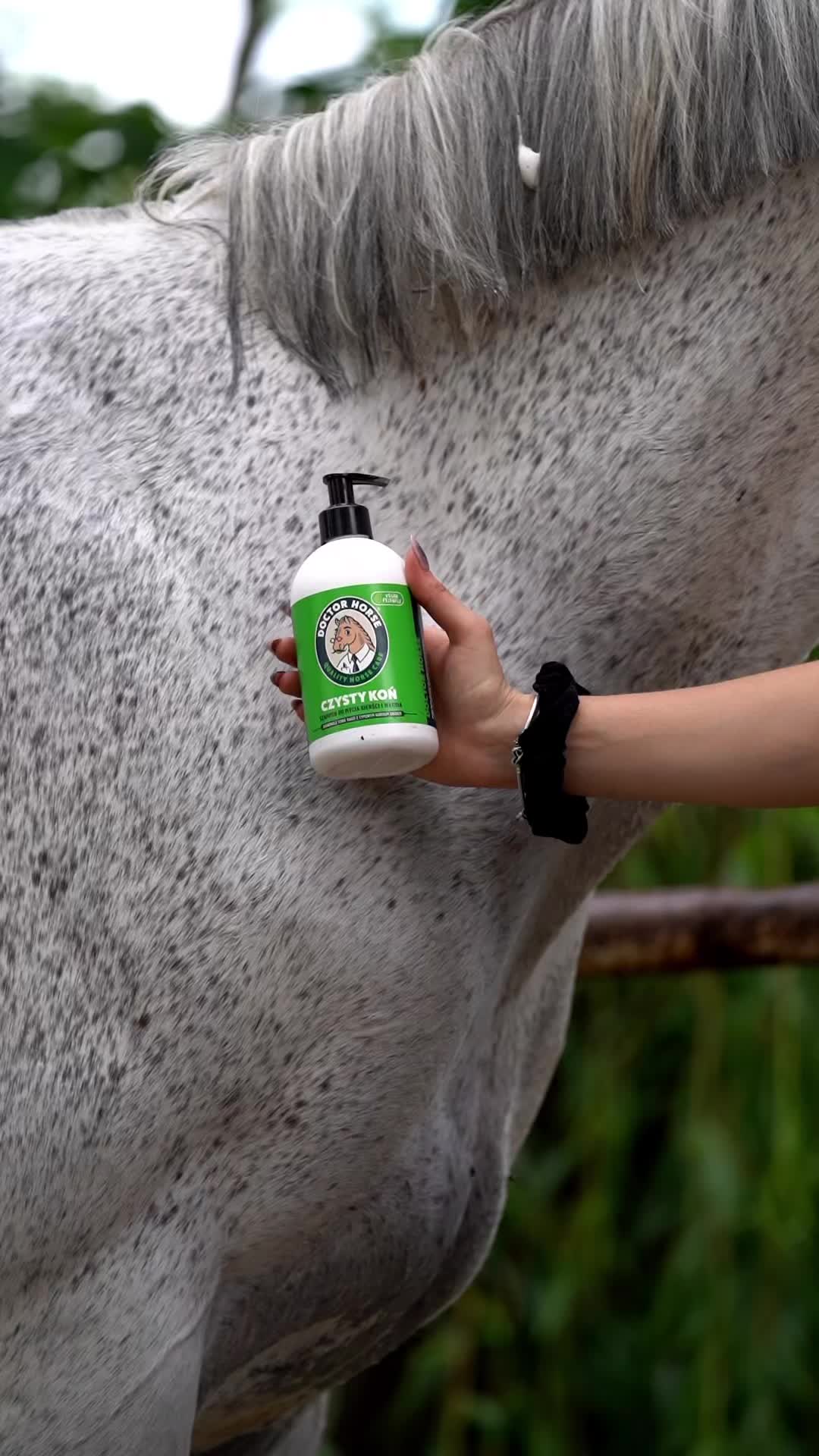 @Doctor Horse