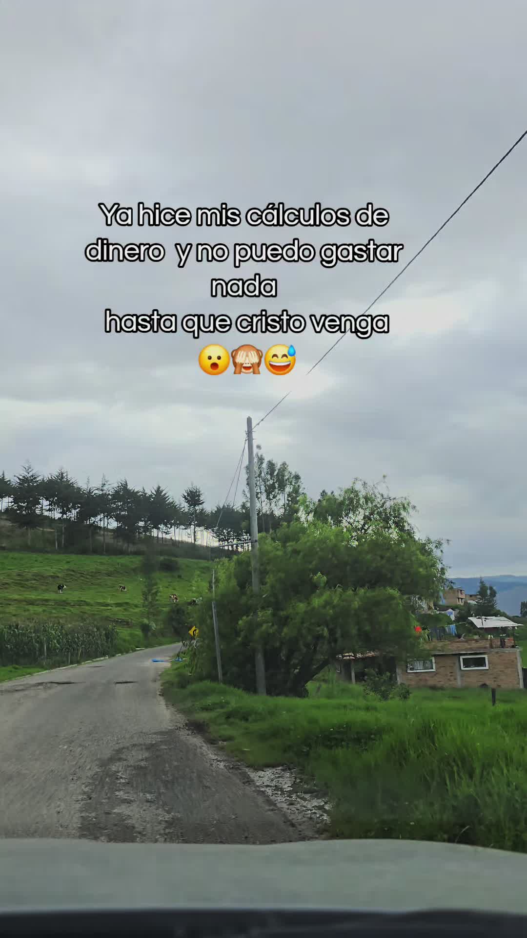 @Alesy🦋