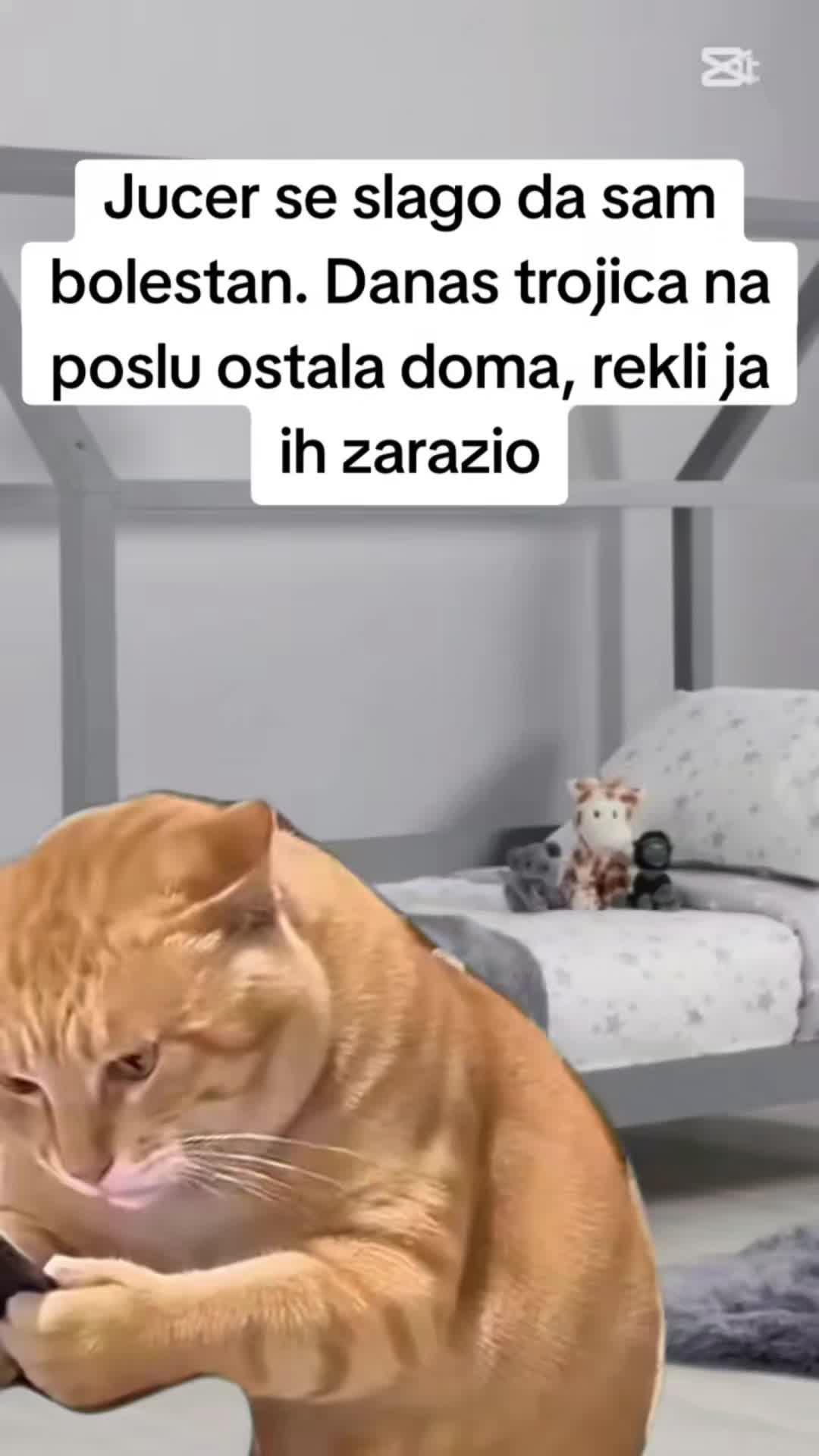 @🌷