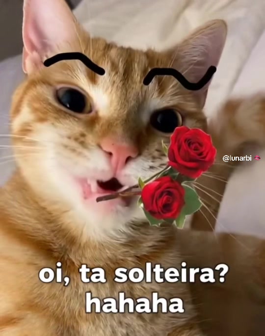 @lunarbi 🫦
