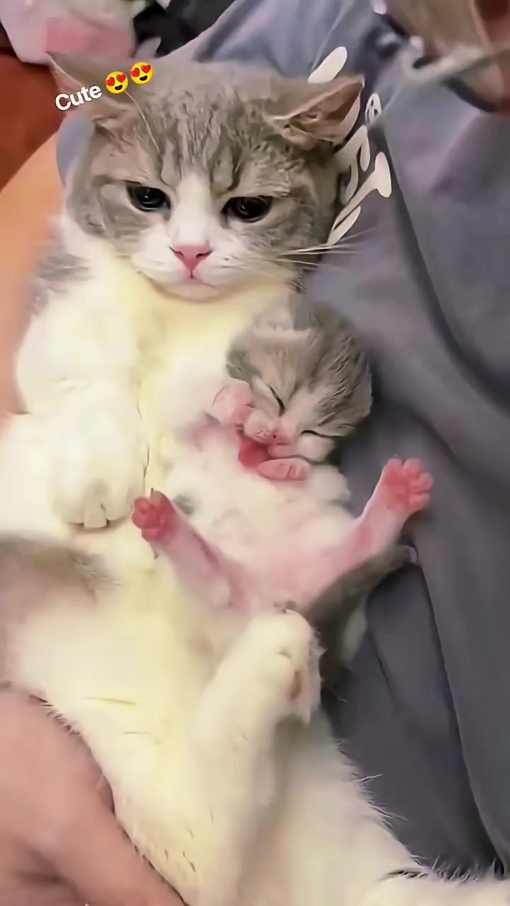 @Kiki