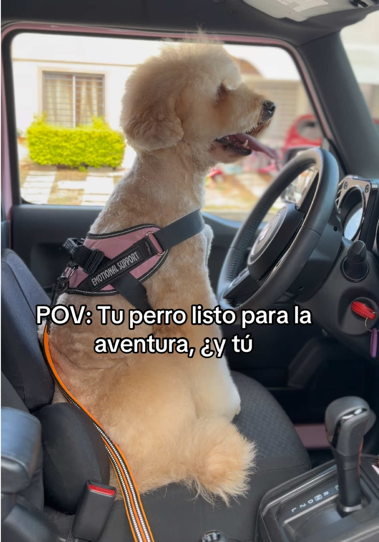 @Marzhe Ponce de Leon