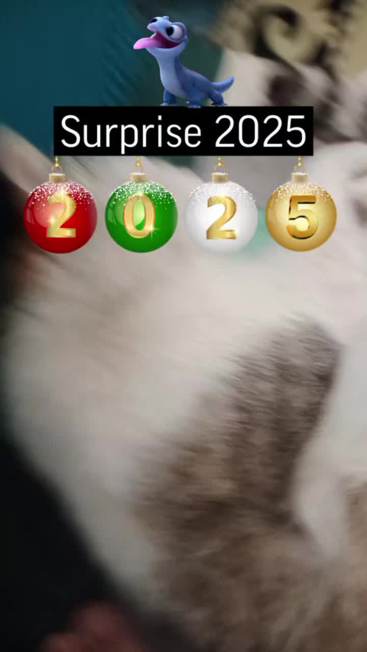 @Мукабай 🐈