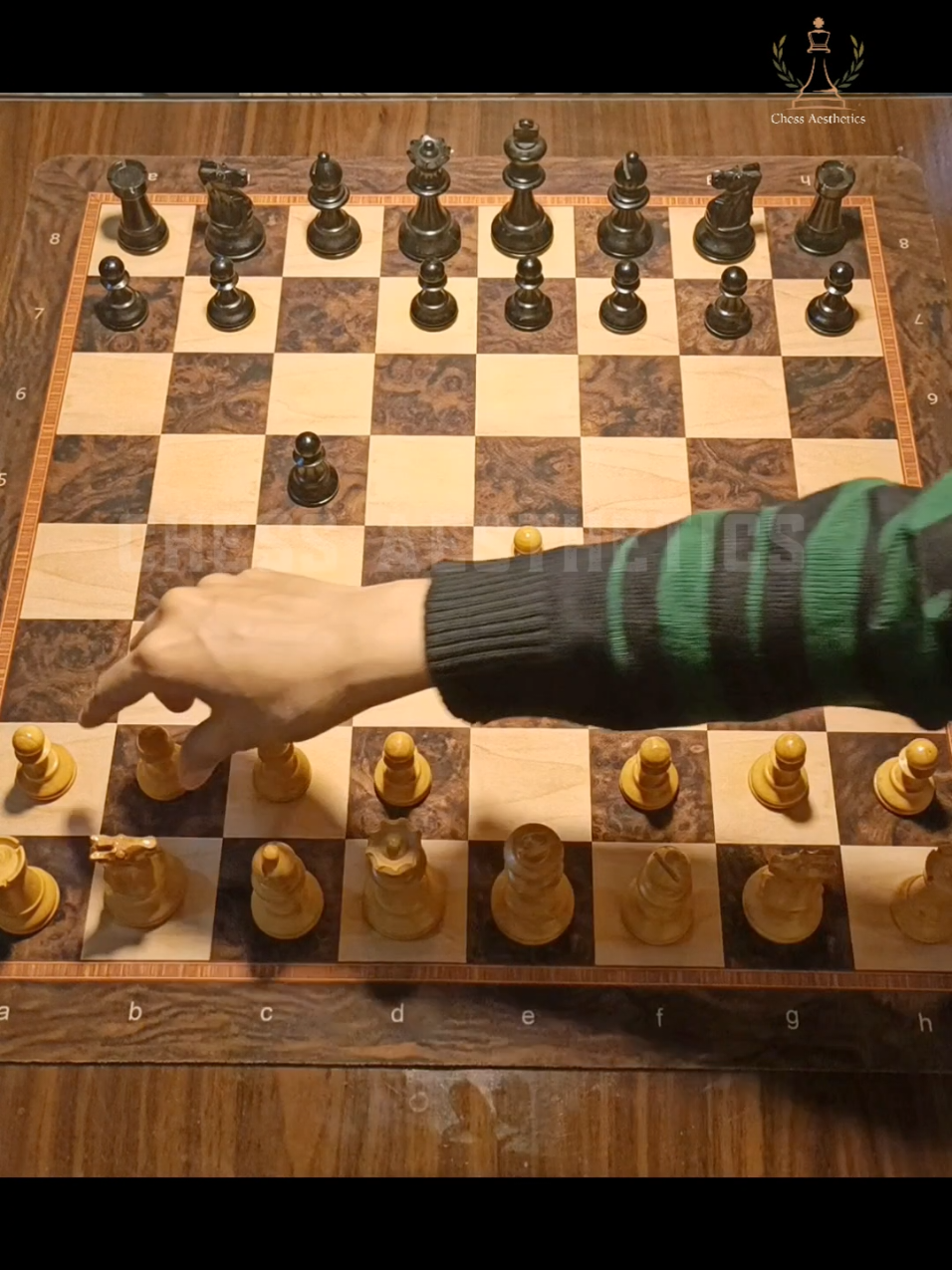 @Chess Aesthetics