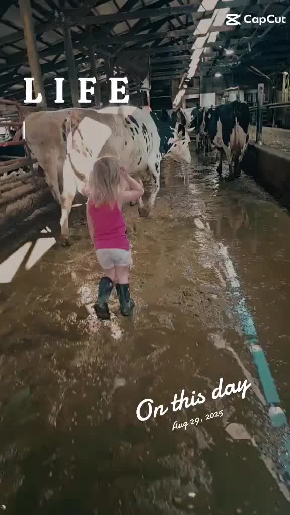 @Angela Weckler🐄