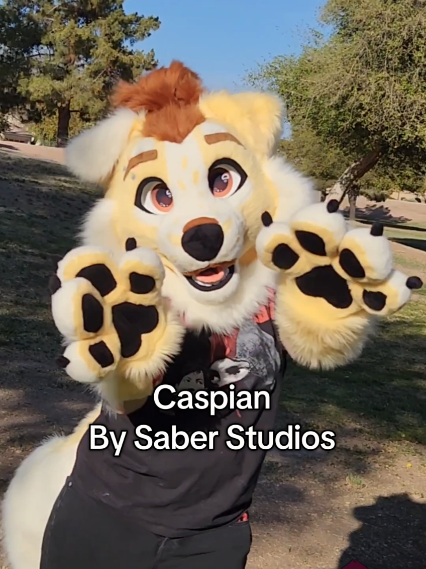 @Saber Studios